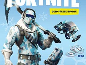 Warner Bros Fortnite: Deep Freeze Bundle - Nintendo Switch