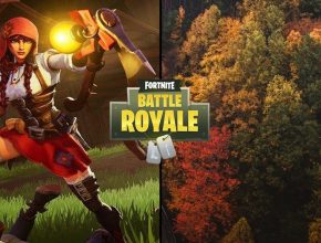 This fan concept to celebrate Autumn in Fortnite is perfect