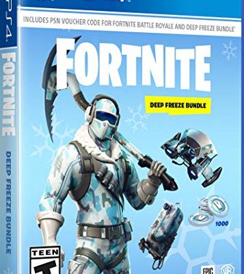 Warner Bros Fortnite: Deep Freeze Bundle - PlayStation 4
